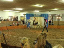 IMG_5256_web
